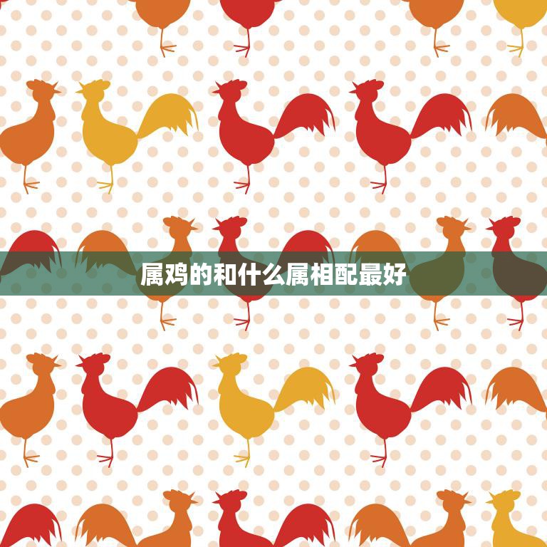 属鸡的和什么属相配最好(解密最佳配对属相大揭秘)