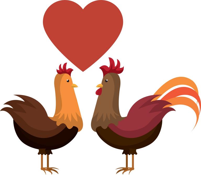 属鸡的今年可以结婚吗男(婚姻运势大揭秘)