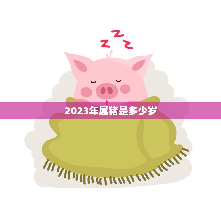 2023年属猪是多少岁(猪年迎来新生命你的年龄也将迎来新变化)