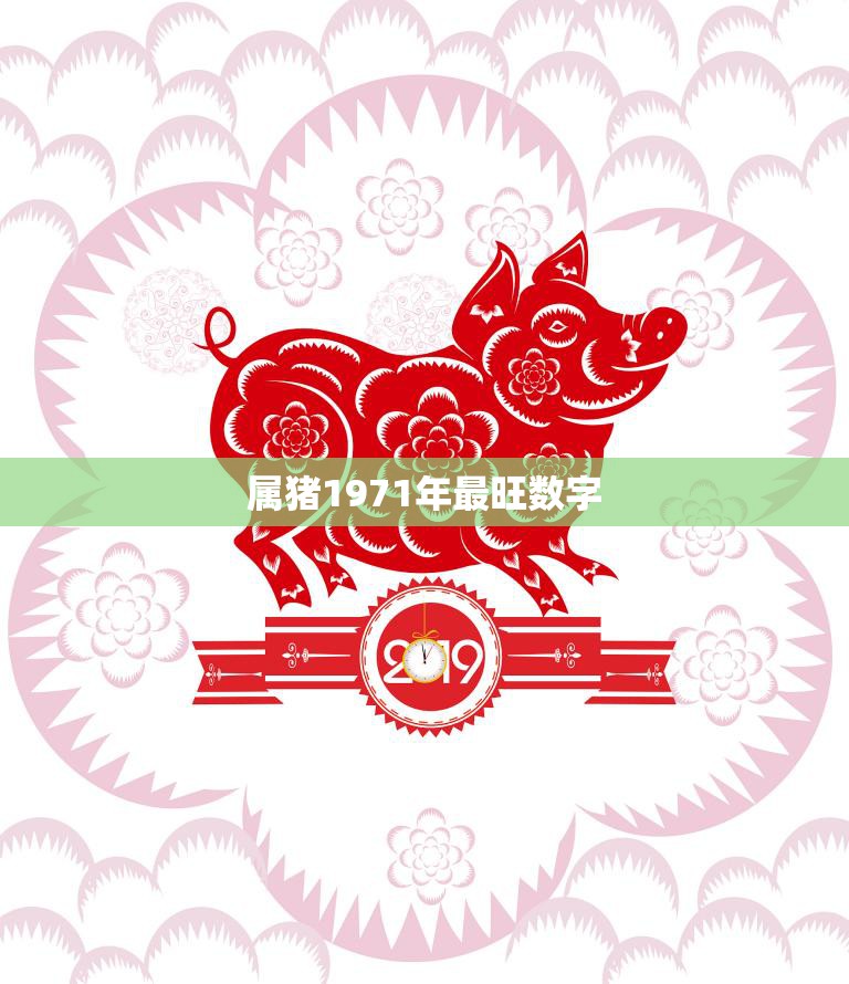 属猪1971年最旺数字(揭秘为何这个数字能带来好运)