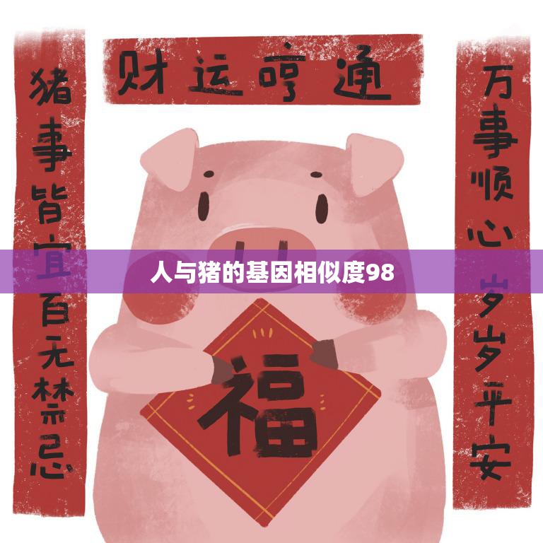人与猪的基因相似度98(揭示人类与动物之间的奇妙联系)