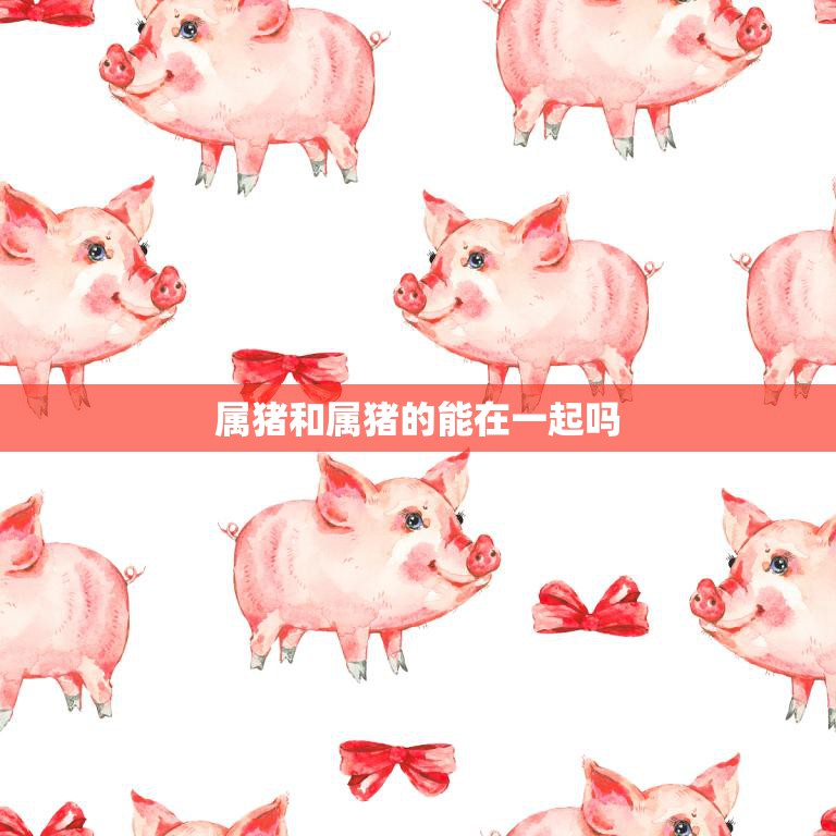 属猪和属猪的能在一起吗(解密属猪恋爱配对)