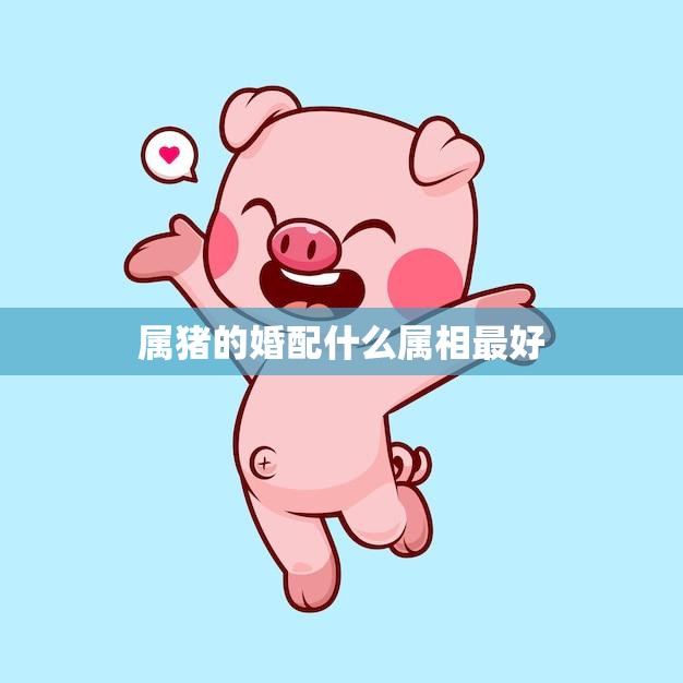 属猪的婚配什么属相最好(如何选择最佳配偶)