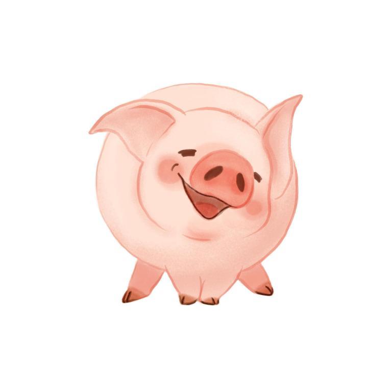 属猪的2023今年多大(猪年宝宝长大了你知道他们今年几岁吗)