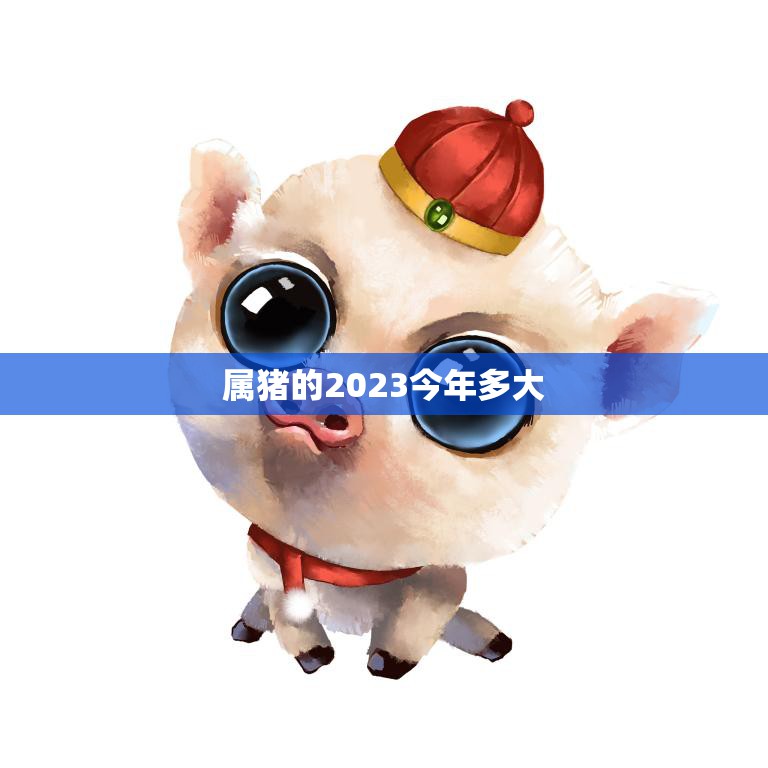 属猪的2023今年多大(猪年宝宝长大了你知道他们今年几岁吗)
