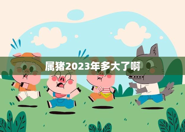 属猪2023年多大了啊(猪年宝宝即将迎来自己的本命年)