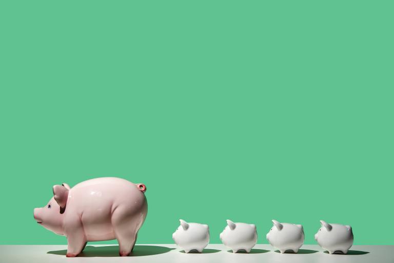 2023属猪女婚姻状况(未来婚姻前景如何)