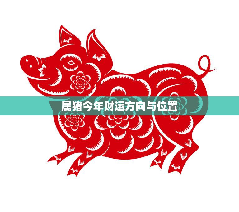 属猪今年财运方向与位置(如何提升财运)