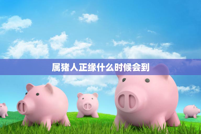 属猪人正缘什么时候会到(寻找真爱的路上何时能遇到缘分)