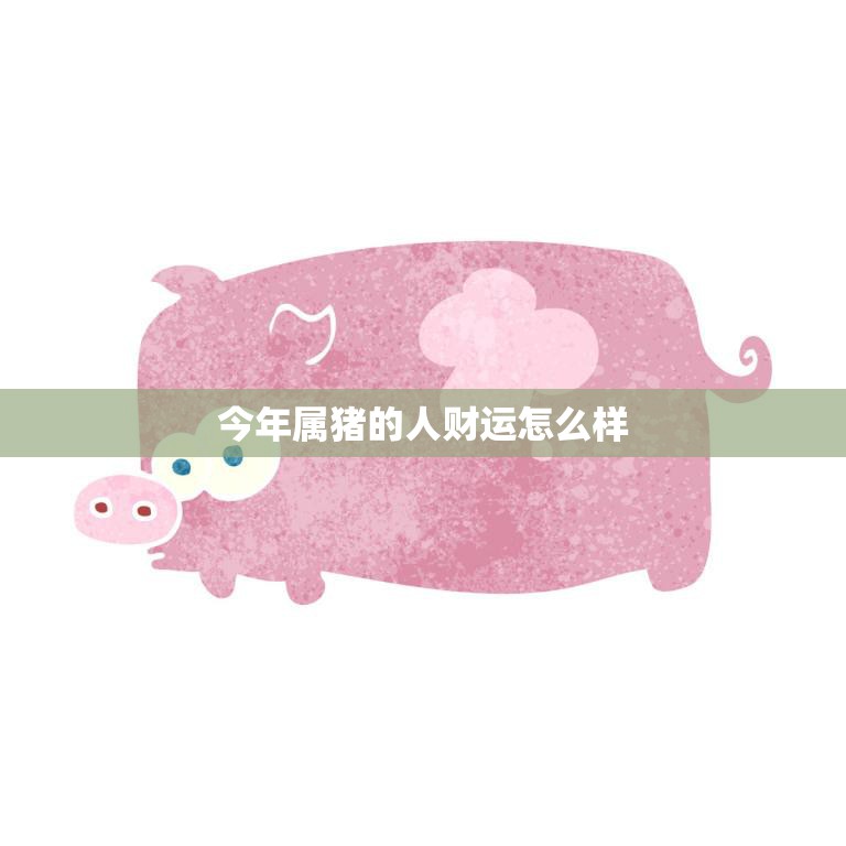 今年属猪的人财运怎么样(2023猪年财富运势大揭秘)