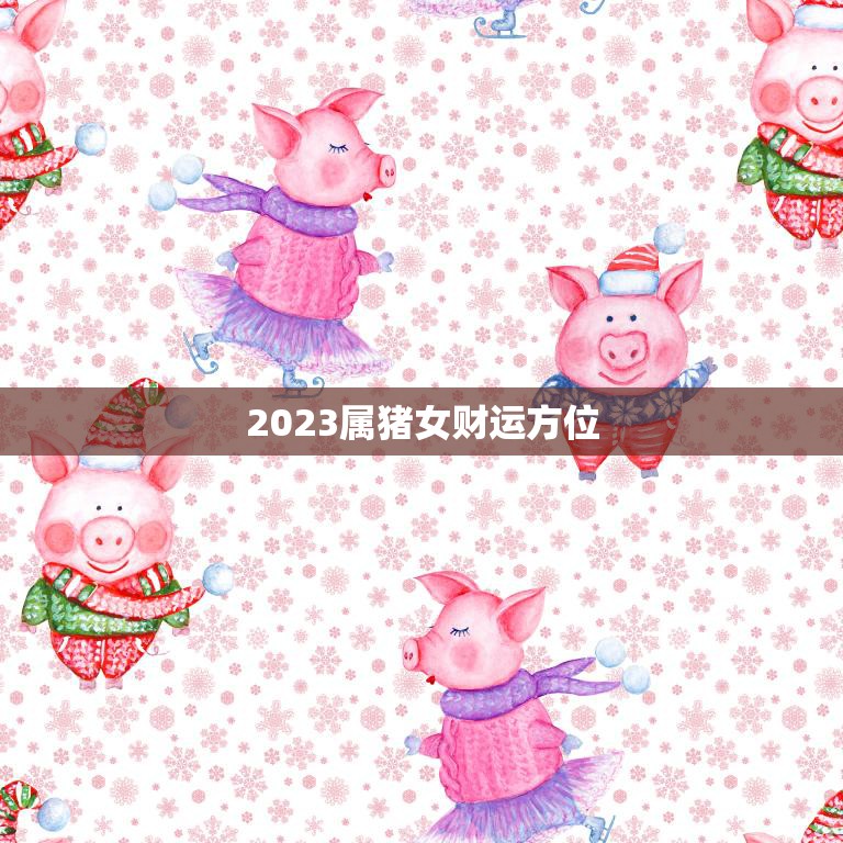 2023属猪女财运方位(如何把握财富机会)