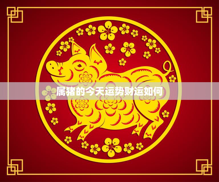 属猪的今天运势财运如何(财运亨通好事接踵而来)
