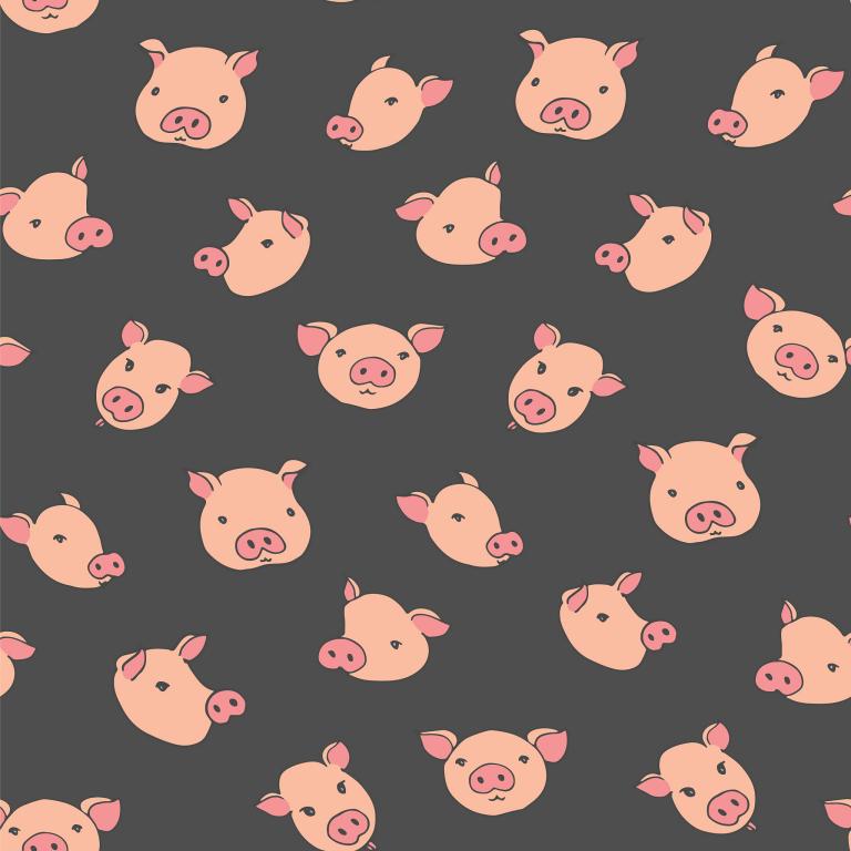 属猪今天的运势每日更新(幸运之星照耀财运亨通)