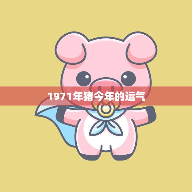 1971年猪今年的运气(猪年大吉财运亨通事业顺利)