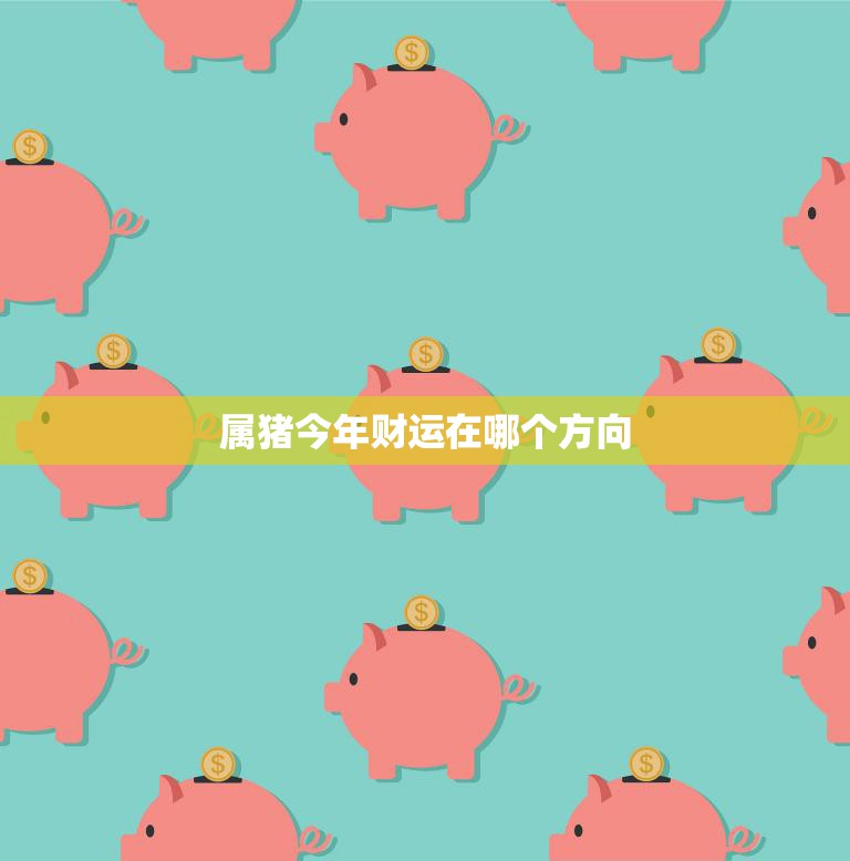 属猪今年财运在哪个方向(2023年属猪人财运展望)