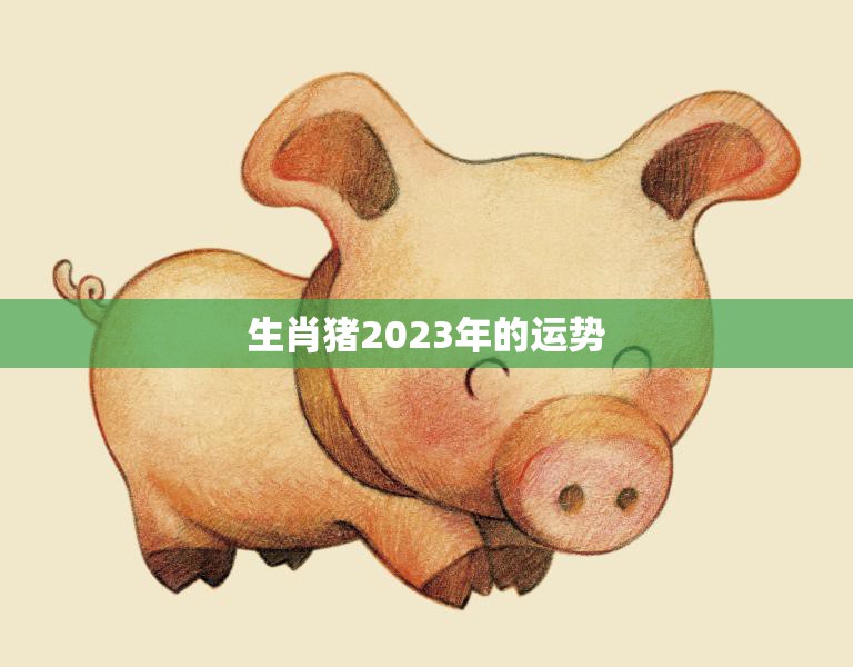 生肖猪2023年的运势(猪年好运连连财运亨通)