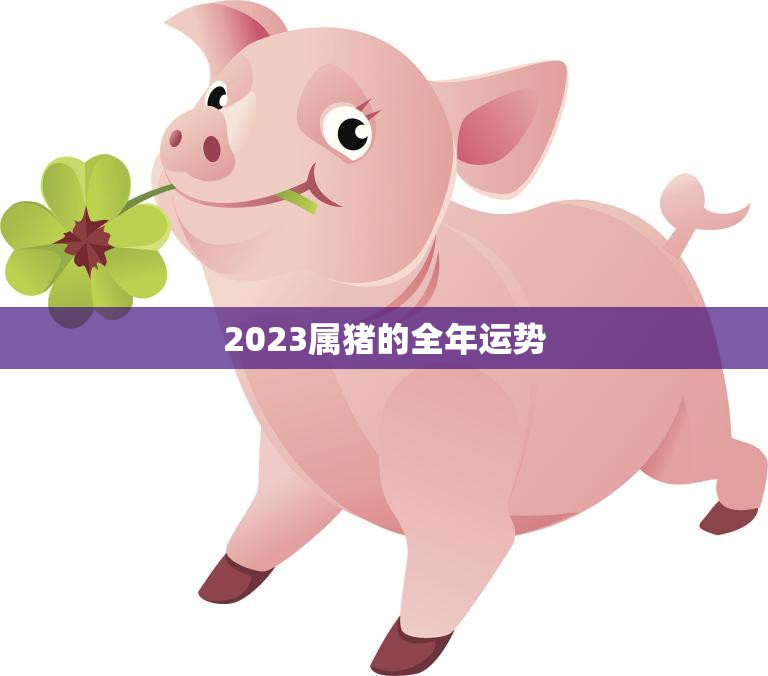 2023属猪的全年运势(猪年大吉财运亨通)