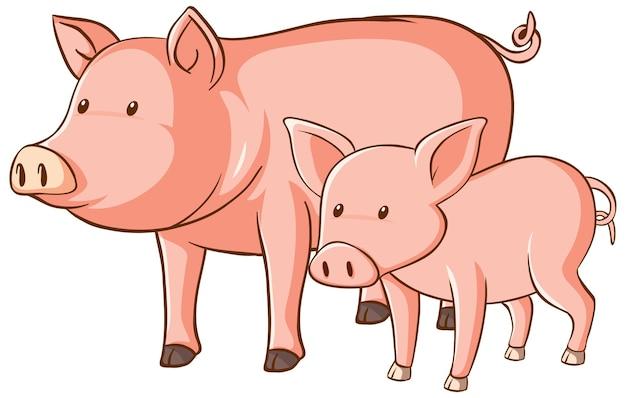 2023年猪运势及运程(猪年好运连连财富事业双丰收)