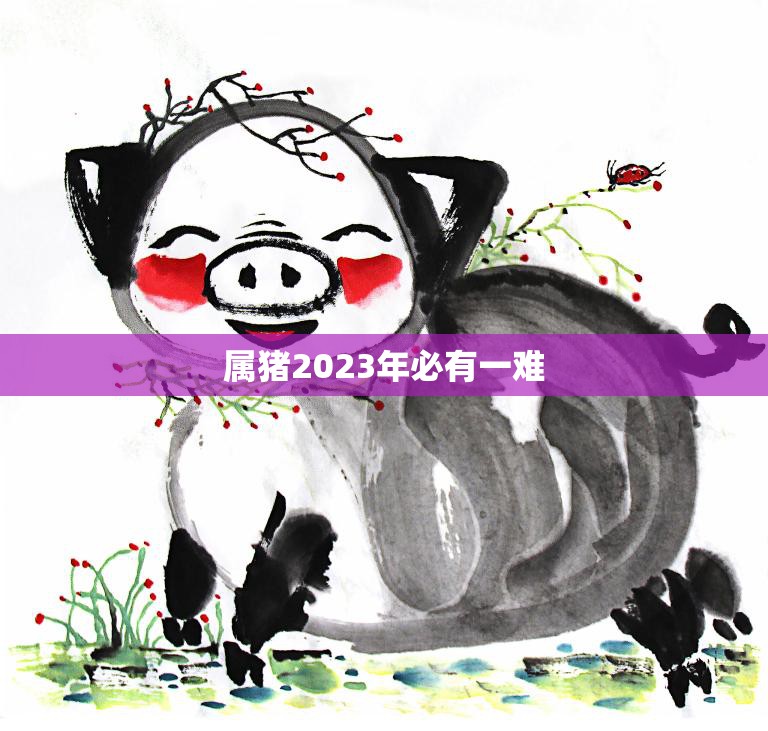 属猪2023年必有一难(猪年人如何化解厄运)