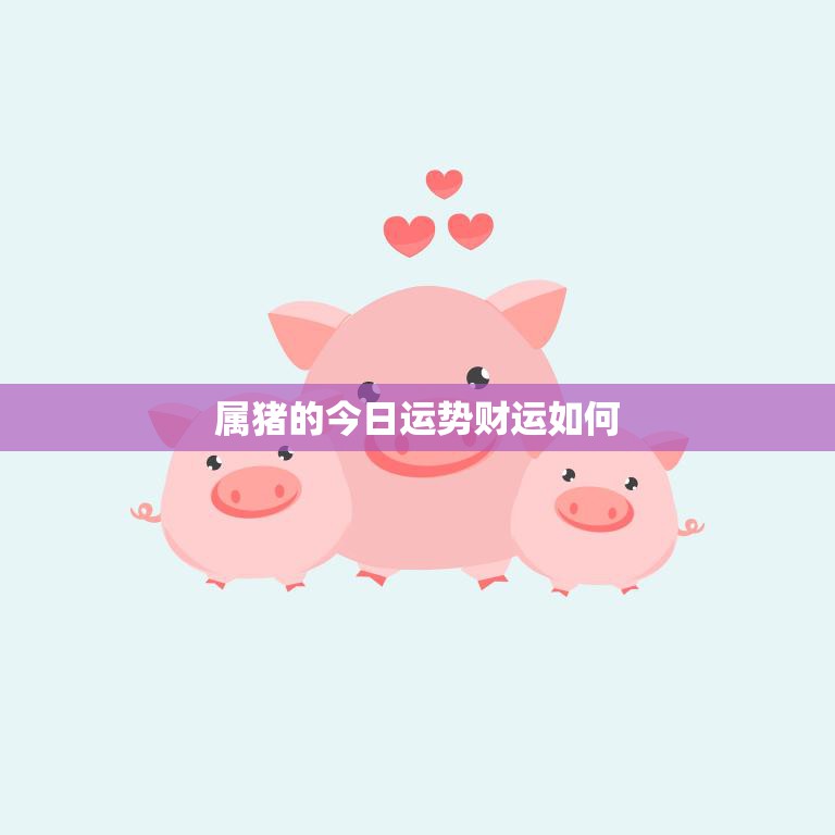 属猪的今日运势财运如何(财运亨通财源滚滚来)