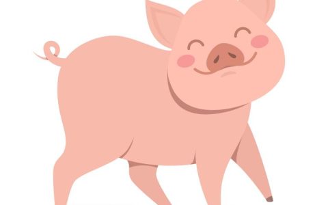 2023猪的运势和财运(猪年财运旺盛事业顺遂)