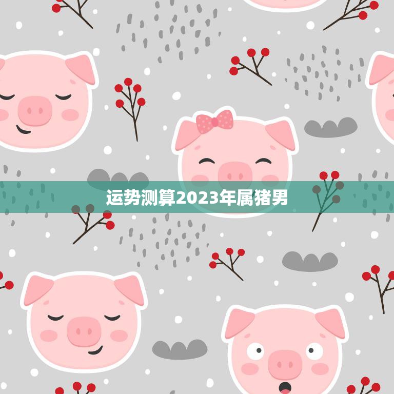 运势测算2023年属猪男(未来三年财运大好)