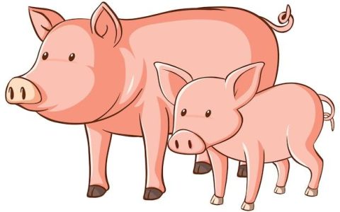 秦阳明2023年生肖运势(猪年财运亨通事业顺利感情甜蜜)