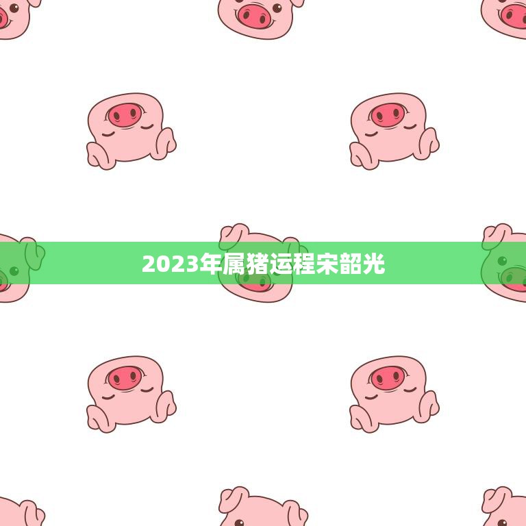 2023年属猪运程宋韶光(猪年大运好财运旺盛事业有成)