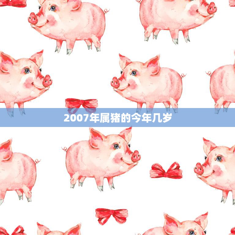 2007年属猪的今年几岁(猪年宝宝已经长大了吗)