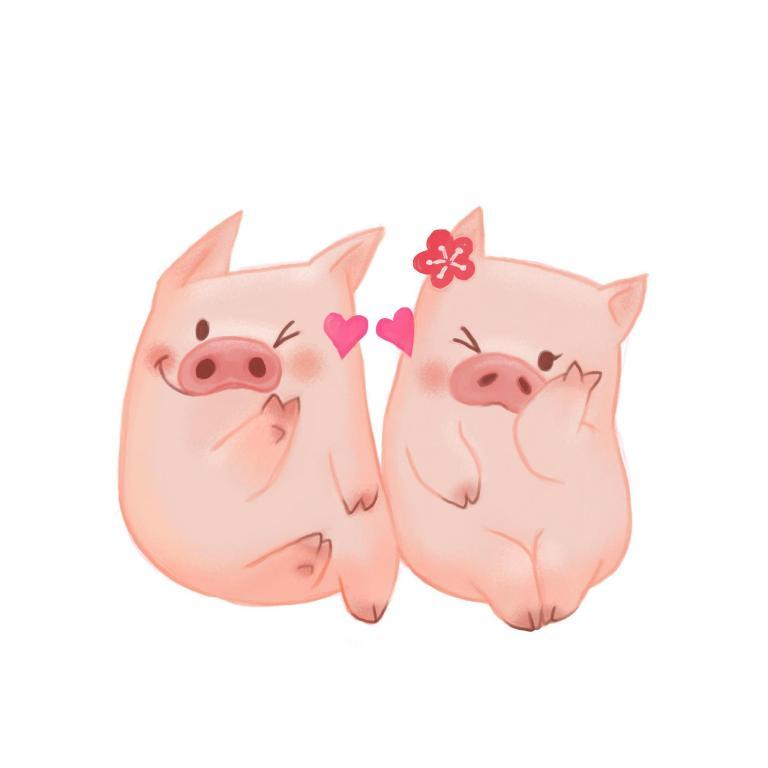 1983年猪今年运势如何(猪年大吉财运亨通事业顺利)