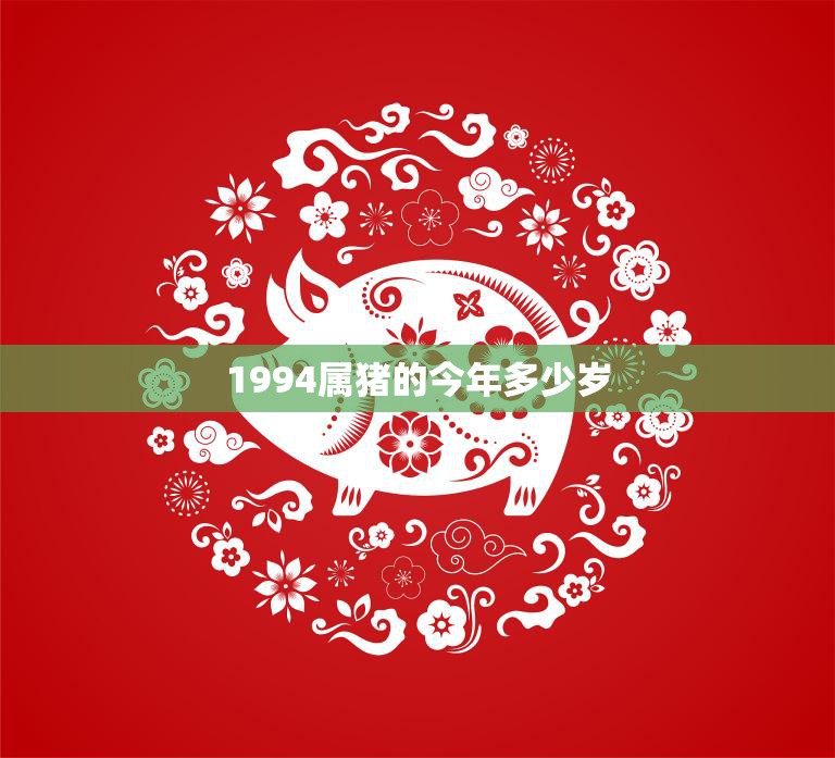 1994属猪的今年多少岁(猪年人迎来28岁聚焦生肖属相的神秘力量)