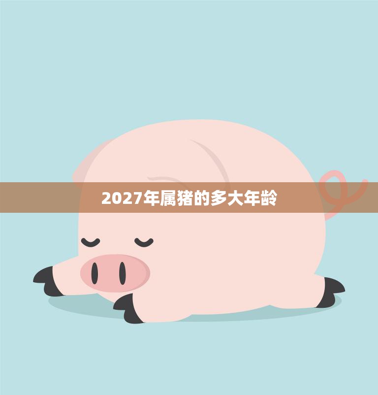 2027年属猪的多大年龄(猪年宝宝成长计划)