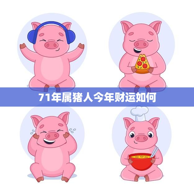 71年属猪人今年财运如何(猪年大吉财运亨通)