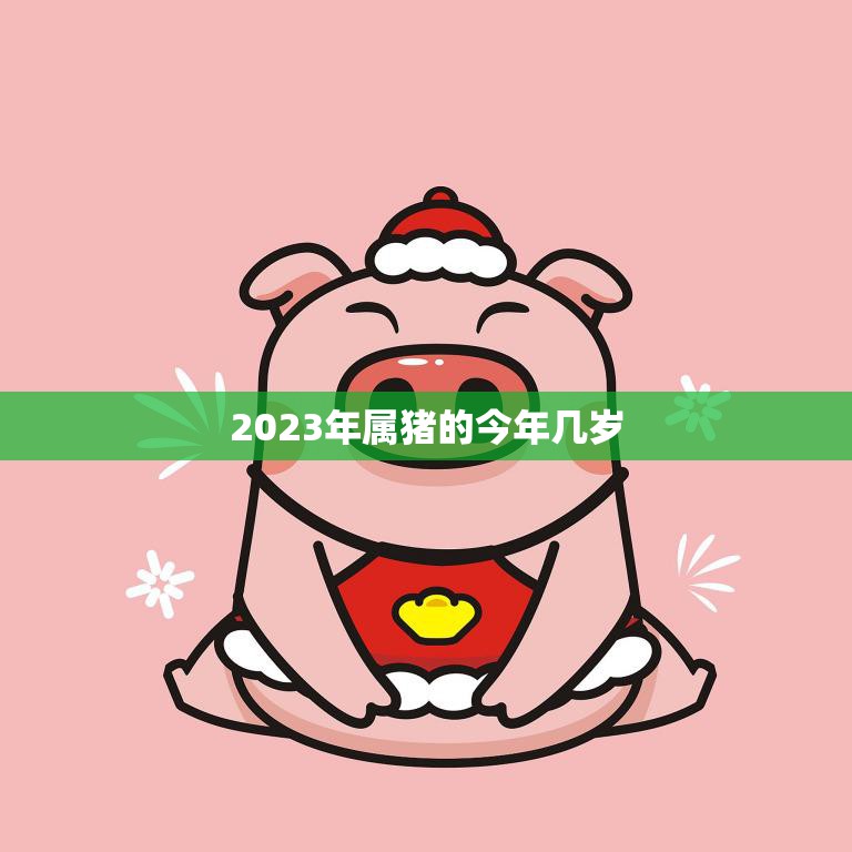 2023年属猪的今年几岁(猪年宝宝成长日记)
