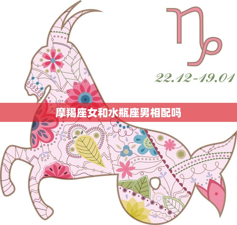 摩羯座女和水瓶座男相配吗(星座配对分析)