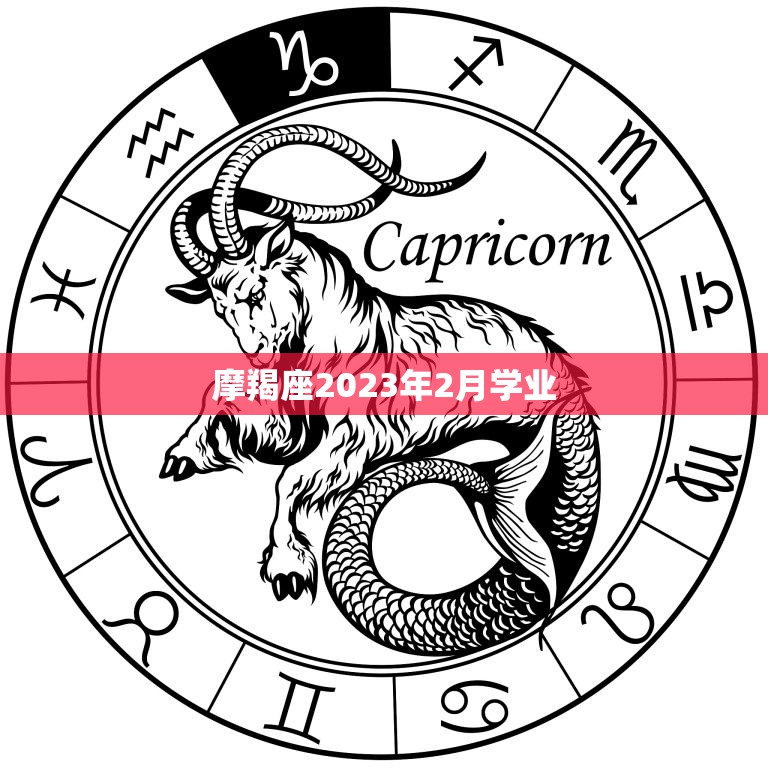 摩羯座2023年2月学业(迎来转机)