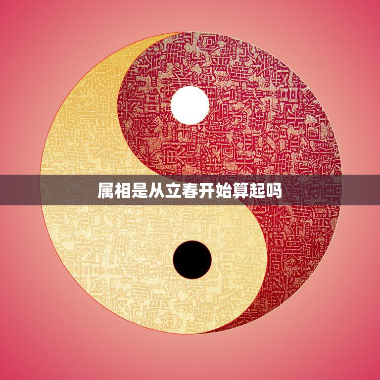 属相是从立春开始算起吗(解析中国传统的生肖文化)