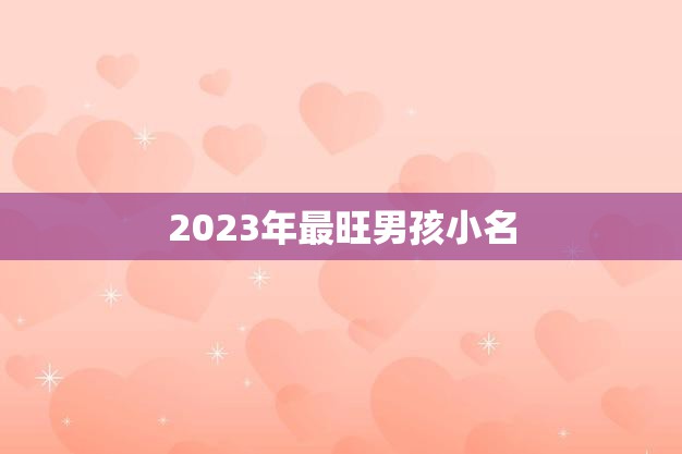 2023年最旺男孩小名(热门推荐从传统到时尚你喜欢哪一个)