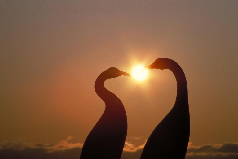 今年婚嫁好日子2023(盘点哪些日子最适合结婚)