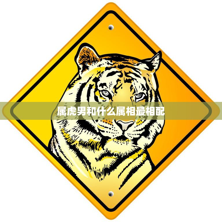 属虎男和什么属相最相配(最佳配对属相大揭秘)