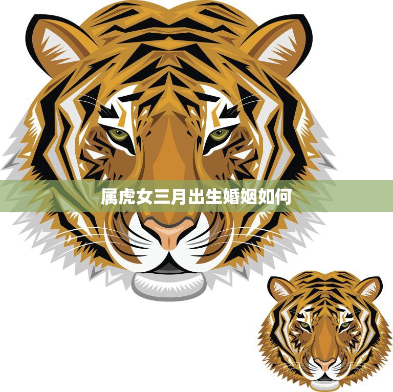 属虎女三月出生婚姻如何(幸福婚姻的秘诀)