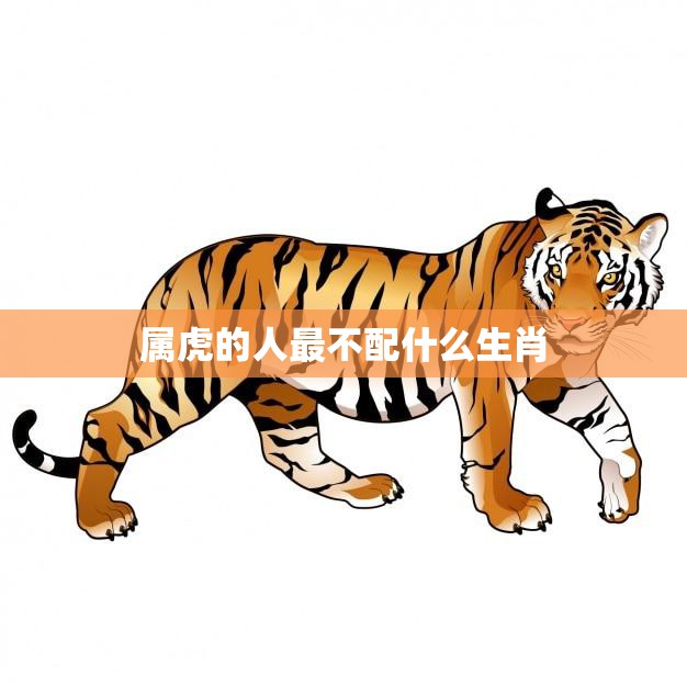 属虎的人最不配什么生肖(揭秘属虎人的克星)