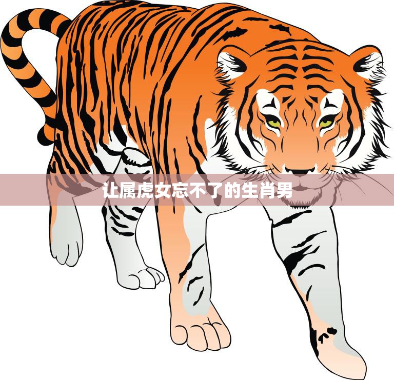 让属虎女忘不了的生肖男(如何征服她的心)