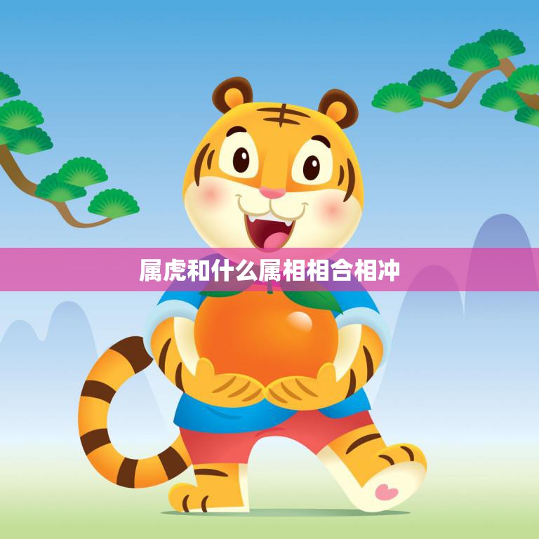 属虎和什么属相相合相冲(如何选择最佳配对)