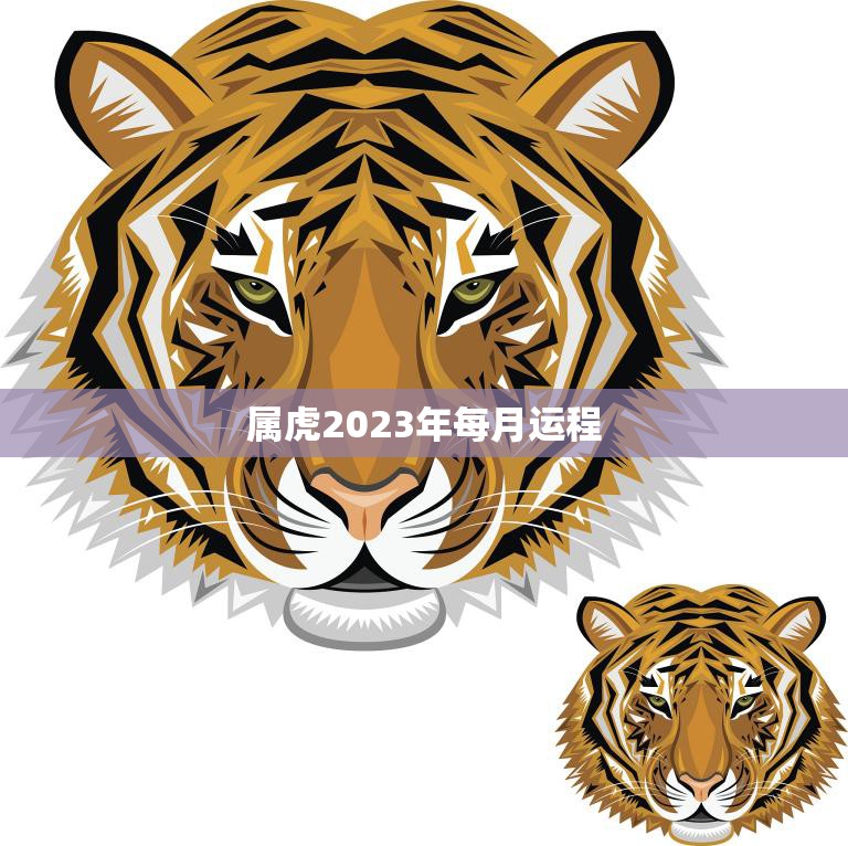 属虎2023年每月运程(幸运之星指引你的未来)
