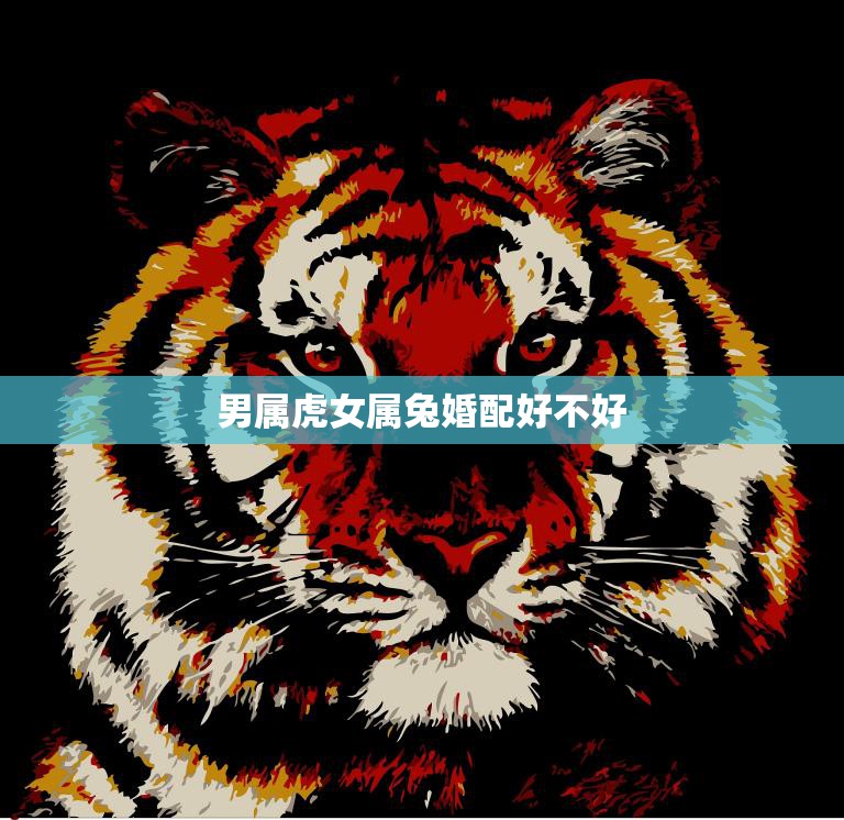 男属虎女属兔婚配好不好(如何看待这对属相组合)