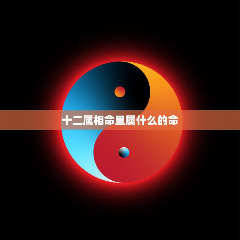 十二属相命里属什么的命(如何确定你的属相)