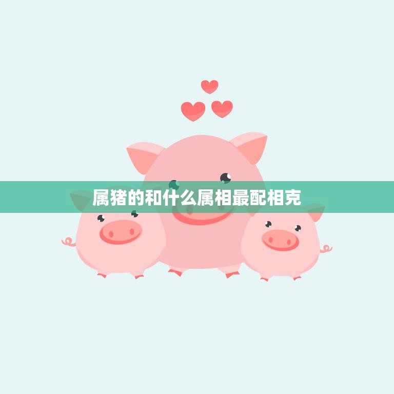 属猪的和什么属相最配相克(最佳配对大揭秘)