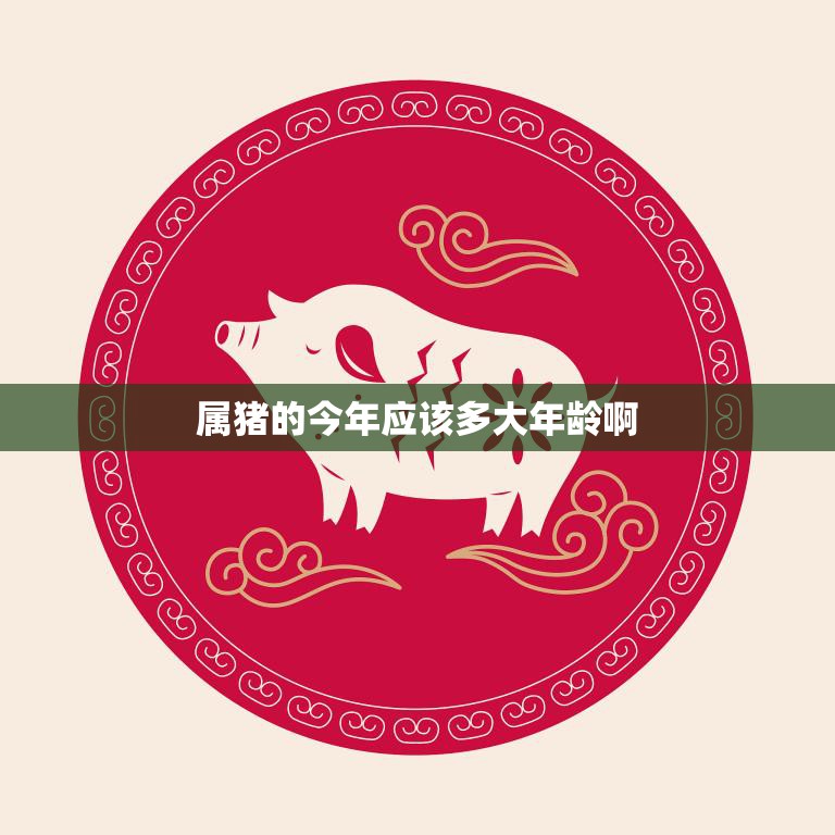 属猪的今年应该多大年龄啊(猪年生肖年龄计算方法详解)