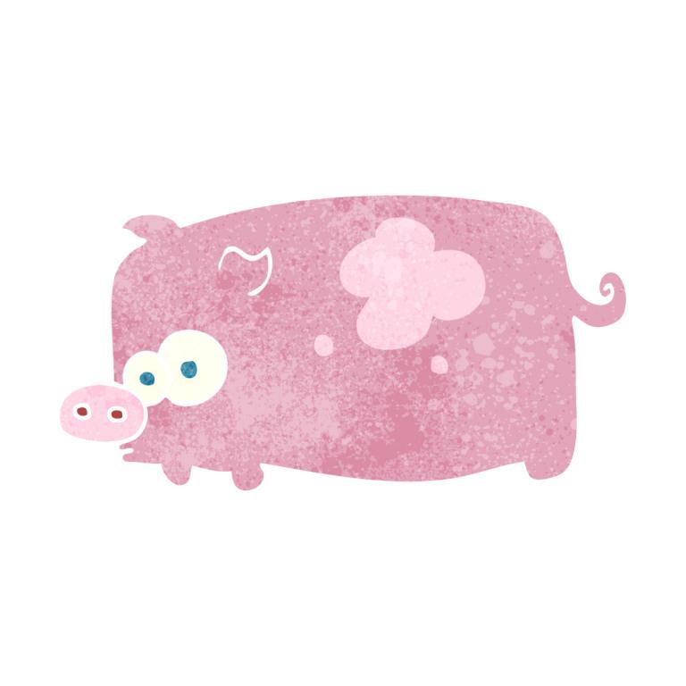 女性属猪的最佳配偶是什么(如何选择最适合你的伴侣)